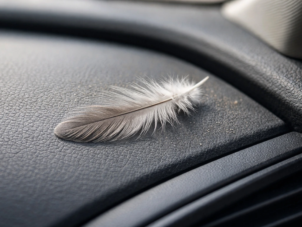 Close-up of a loose bird feather on a car dashboard corner with a few tiny specks nearby.